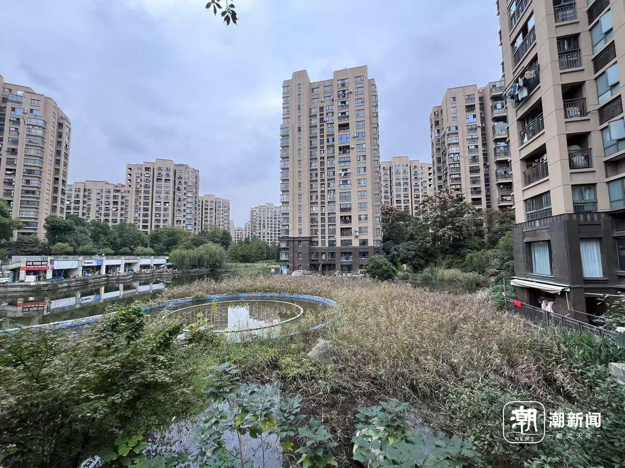 小区入口处人工湖 徐叔竞/摄