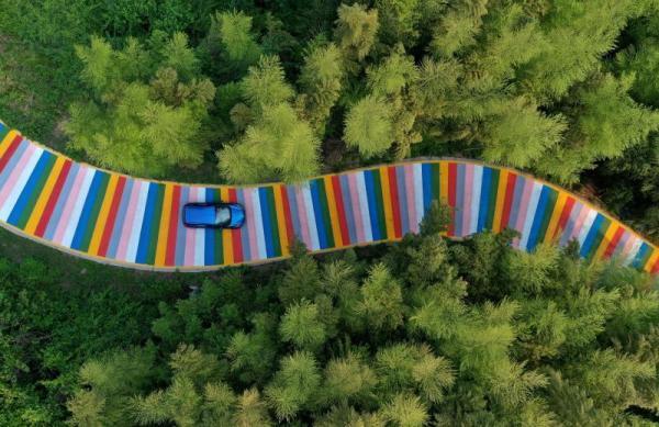 快去打卡千米彩虹路亮相德清莫干山